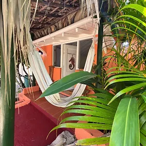 Hotel Arena Oceanview & La Terraza Restaurant, Las Galeras